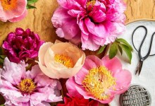 The Home Page | Sweet Dreams for the New Year