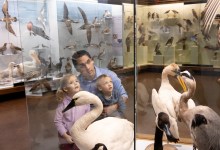 Free Admission at SBMNH/SoCal Museums