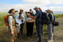 Free Elings Park Nature Walk