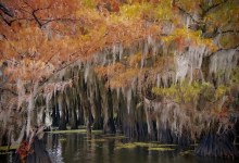 Gallery Los Olivos – “Spring Into 2024”