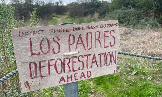 Fire Defense or Deforestation? West Camino Cielo Community Divided over Los Padres Fuel Break 