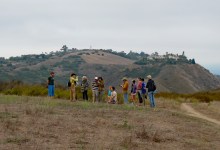 Free Plant and Bug Walk at Elings Park
