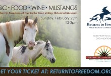 Grand Opening: Wild Horse Photo Exhibit & Talk