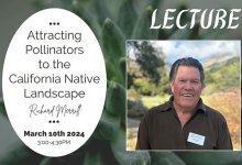 Lecture with Richard Merrill