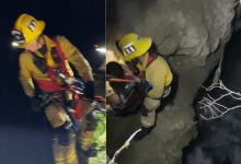 Woman Rescued After Surviving Fall from Isla Vista Bluff