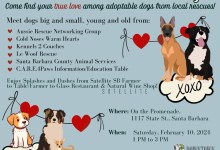 Smooch A Pooch Valentine’s Dog Adoption Event!