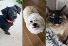 Ba Holly, Gracie Joy, and Sue 