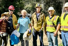 Tangled Barn Owl Rescued from Atop a 50-Foot Palm