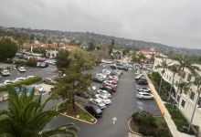 This Land Is Your Land