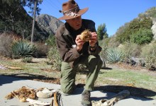 Foraging & Firemaking in Ojai with Jim Robertson