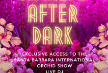 Orchids After Dark