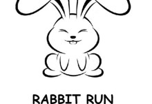 Rabbit Run
