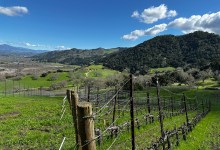 Full Belly Files | Support Your Santa Barbara Winery Now!