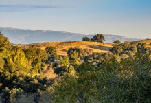 Blending Science with Indigenous Ways