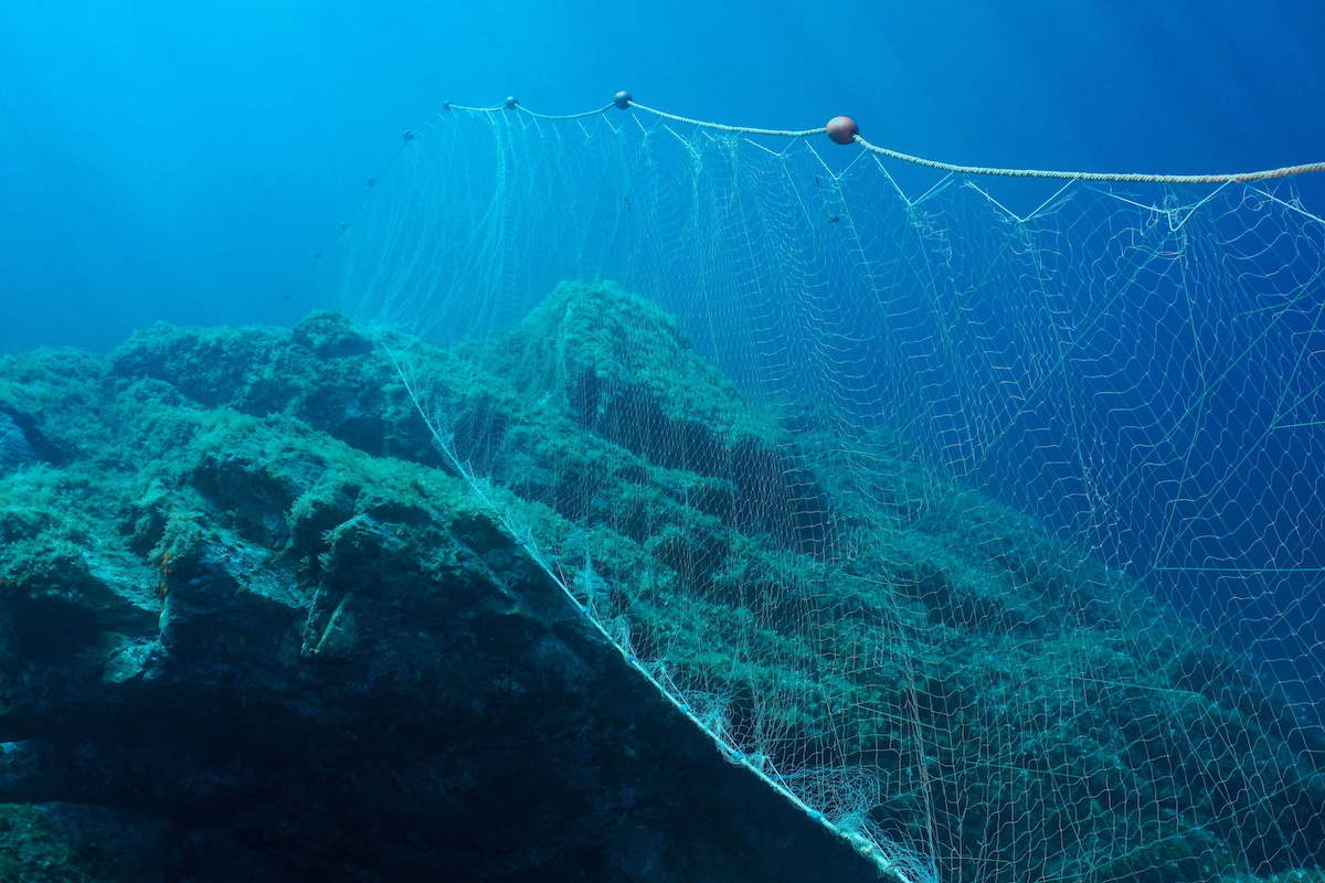 Assembly Bill Would Create New Rules for Commercial Fishing in California,  Ban Gill Nets Around Channel Islands - The Santa Barbara Independent