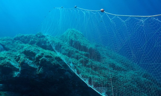Assembly Bill Would Create New Rules for Commercial Fishing in California, Ban Gill Nets Around Channel Islands