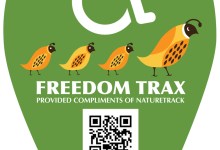 Join NatureTrack on AVILA BEACH, Sunday March 17