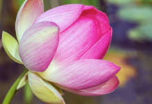 Caring for the Earth and Equal Rights