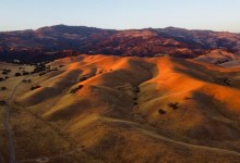 Science Pub: Plants in a Changing Climate