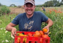 Tomatomania Hits Santa Ynez Valley