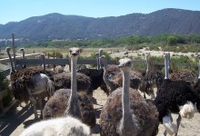 Three Dozen Family-Friendly Spring Break Activities Right Here In Town