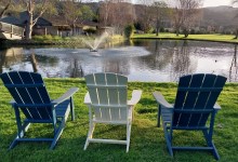 A Close Escape down in the Carmel Valley