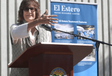 Hillary Hauser Stepping Down as Head of Heal the Ocean