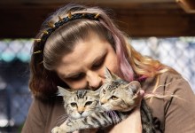 Kitten Season Is Coming!