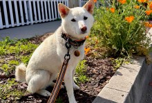 The Home Page | Spring Has Sprung!