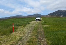 No Herbicides Please