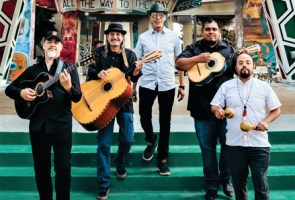 Viva el Arte Presents Jarabe Mexicano