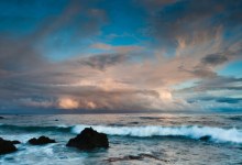 The Global Climate Crisis: What To Do About It