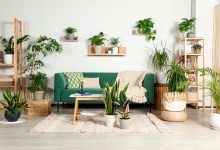 The Home Page | Everything’s Blooming for Earth Day