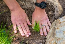 Home, Earth, and Garden 2024