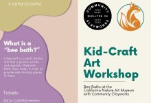 Kid Craft Workshop – Bee Baths at the Museum