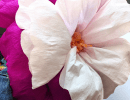 Crepe Paper Flowers Workshop