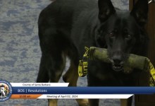Good Boy: Santa Barbara County Sheriff’s K-9 Odin Retires