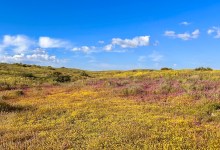 Snacks, Scenery, and Sunshine Spell Success
