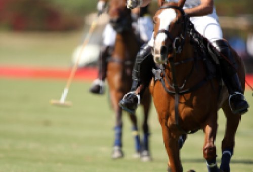 “Polo in Paradise” Returns to the Santa Barbara Polo & Racquet Club on May 5