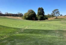 Goleta Council Agrees to Begin Potential Habitat Changes at Sandpiper Golf