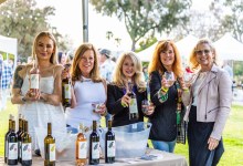 S.B. Zoo Roar and Pour