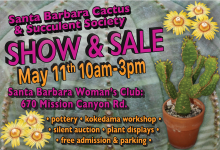 SB Cactus & Succulent Society Show and Sale