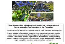 Mesa Harmony Garden Spring Plant Sale