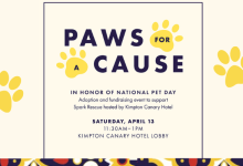 Paws for a Cause – Adoption and Fundraising Event