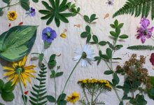 Natural Botanical Dye & Print Workshop