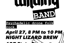 Beau James Wilding Band Live