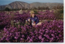 The Flowers That Bloom in the Spring