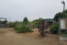 Trinity Gardens Tour