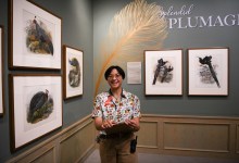 The Art of Science: Drawing Splendid Plumage