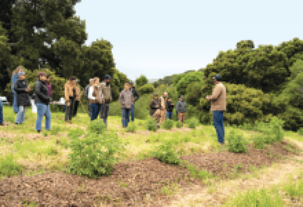 Community Environmental Council Releases Critical Report on Impact of Climate Action